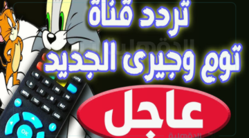 تردد قناة توم وجيري الجديد لعرض أبرز وأهم الرسوم المتحركة للأطفال
