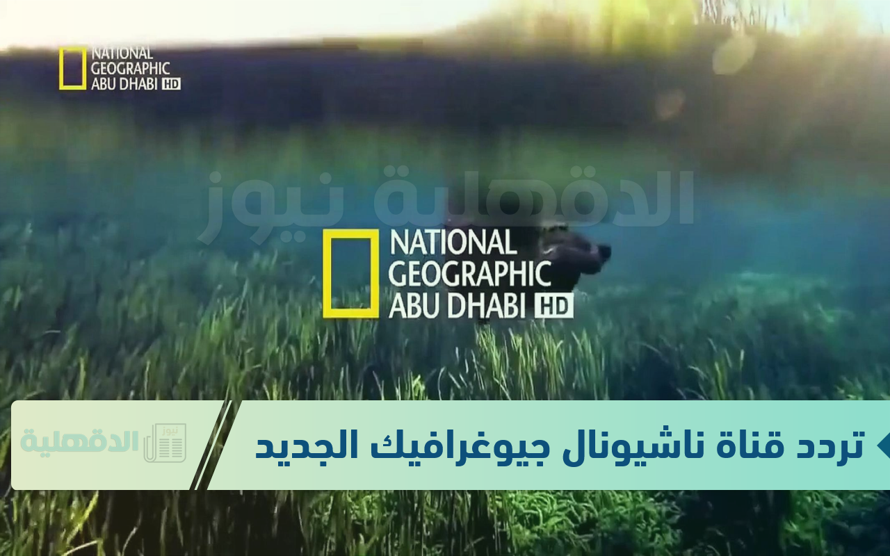 لمحبي الاستكشاف والمغامرات.. تردد قناة ناشيونال جيوغرافيك الجديد 2025 بجودة HD علي جميع الأقمار الصناعية لمحبي الاستكشاف والمغامرات.. تردد قناة ناشيونال جيوغرافيك الجديد 2025 بجودة HD علي جميع الأقمار الصناعية