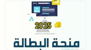 اليكترونيا.. خطوات تجديد منحة البطالة في الجزائر عبر الموقع بالوكالة الوطنية للتشغيل