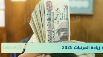 وزارة "المالية" تًوضح جدول الحد الأدنى للأجور لعام 2025 وحقيقة زيادة المرتبات 2025