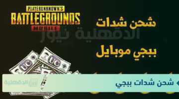 بعد التحديث الجديد.. شحن شدات ببجي 2025 بطريقة مضمونة 100% بعد تحديث PUBG MOBILE 3.6