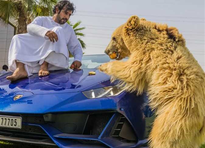 جايب لكل حيوان عربية.. حميد البقيش وشغفه بترويض الحيوانات المفترسة حميد البقيش وشغفه بترويض الحيوانات المفترسة