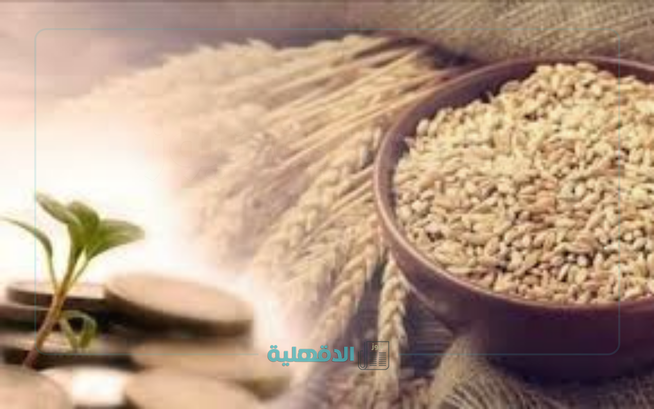 مقدار زكاة الفطر في لبنان 2025 "المقدار العيني والقيمة النقدية" مقدار زكاة الفطر في لبنان 2025 “المقدار العيني والقيمة النقدية”